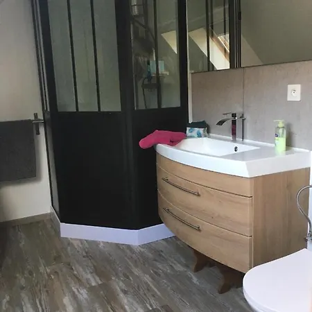 Apartment De La Salamandre - 4 A 8 Personnes - Climatise Lapoutroie