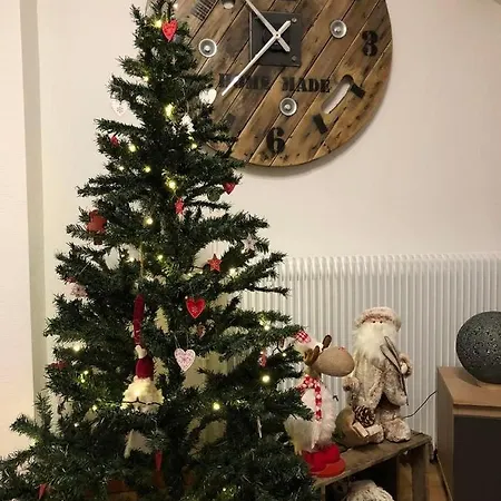 De La Salamandre - 4 A 8 Personnes - Climatise Lapoutroie