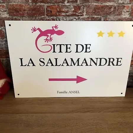 Apartment De La Salamandre - 4 A 8 Personnes - Climatise Lapoutroie