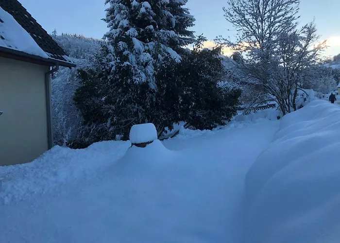 De La Salamandre - 4 A 8 Personnes - Climatise *