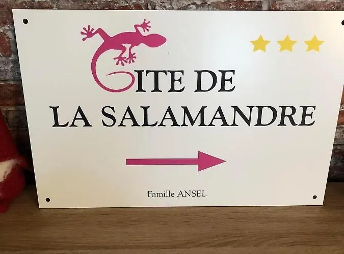 Διαμέρισμα De La Salamandre - 4 A 8 Personnes - Climatise Lapoutroie
